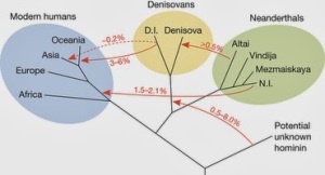 Flujo genético entre las poblaciones del paleolítico. Credit: http://paleoantropologiahoy.blogspot.com.es